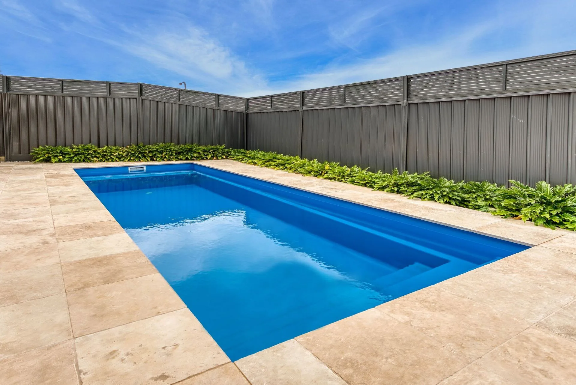 Compact plunge pool in a residential backyard